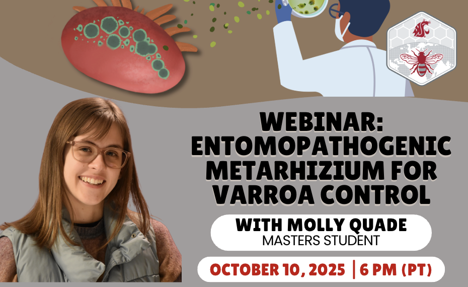 advertisement for webinar with picture of Molly Quade